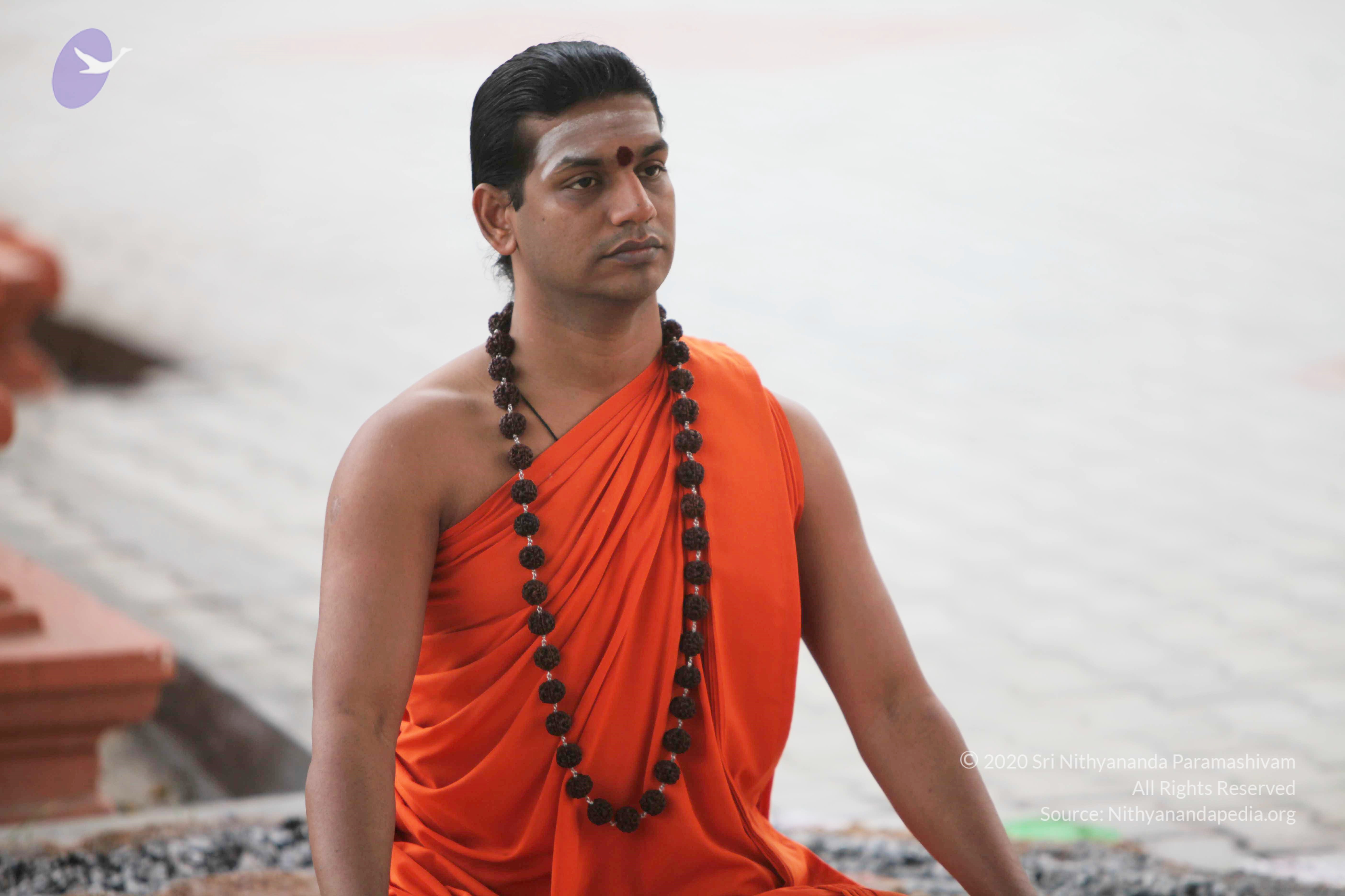 20110225_Photo_1037_IMG_0813_CMP_WM